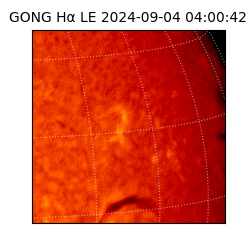 gong - 2024-09-04T04:00:42