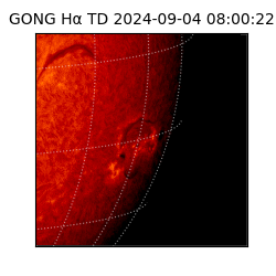 gong - 2024-09-04T08:00:22