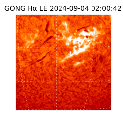 gong - 2024-09-04T02:00:42