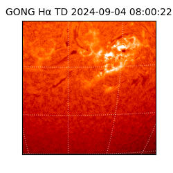 gong - 2024-09-04T08:00:22
