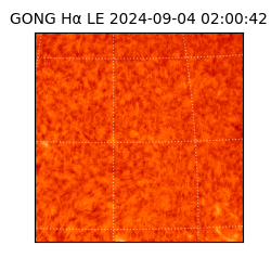 gong - 2024-09-04T02:00:42