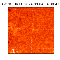 gong - 2024-09-04T04:00:42