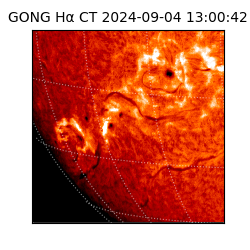 gong - 2024-09-04T13:00:42