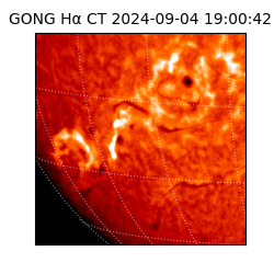gong - 2024-09-04T19:00:42
