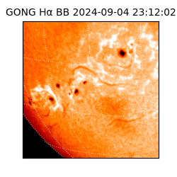 gong - 2024-09-04T23:12:02