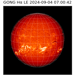 gong - 2024-09-04T07:00:42