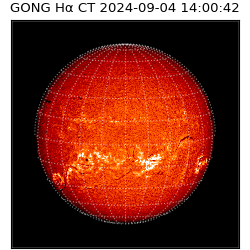 gong - 2024-09-04T14:00:42