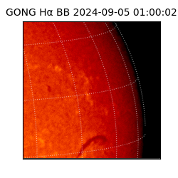 gong - 2024-09-05T01:00:02
