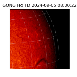 gong - 2024-09-05T08:00:22