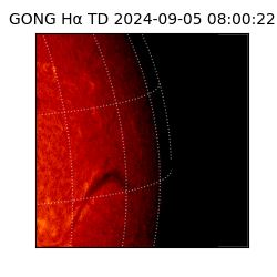 gong - 2024-09-05T08:00:22