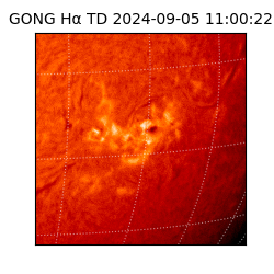 gong - 2024-09-05T11:00:22