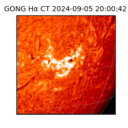gong - 2024-09-05T20:00:42
