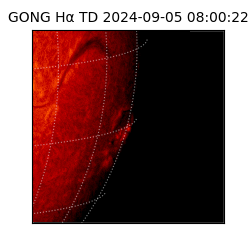 gong - 2024-09-05T08:00:22
