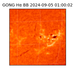 gong - 2024-09-05T01:00:02