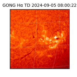 gong - 2024-09-05T08:00:22
