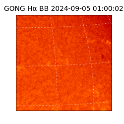 gong - 2024-09-05T01:00:02