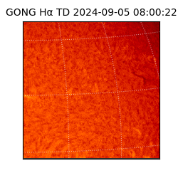 gong - 2024-09-05T08:00:22