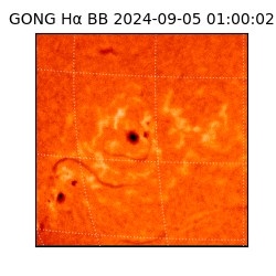 gong - 2024-09-05T01:00:02