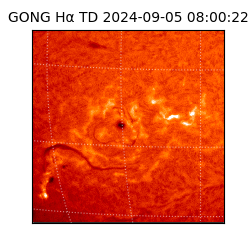 gong - 2024-09-05T08:00:22