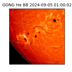 gong - 2024-09-05T01:00:02