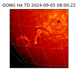 gong - 2024-09-05T08:00:22