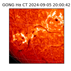 gong - 2024-09-05T20:00:42