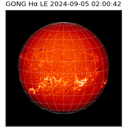 gong - 2024-09-05T02:00:42