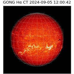 gong - 2024-09-05T12:00:42