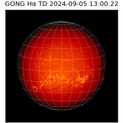 gong - 2024-09-05T13:00:22