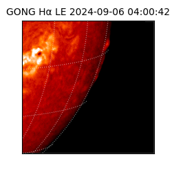 gong - 2024-09-06T04:00:42