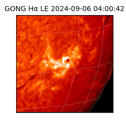 gong - 2024-09-06T04:00:42