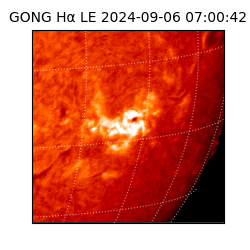 gong - 2024-09-06T07:00:42