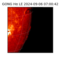 gong - 2024-09-06T07:00:42