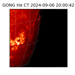 gong - 2024-09-06T20:00:42