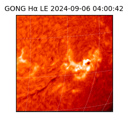 gong - 2024-09-06T04:00:42