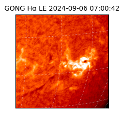 gong - 2024-09-06T07:00:42