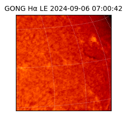 gong - 2024-09-06T07:00:42