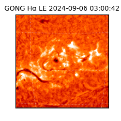 gong - 2024-09-06T03:00:42