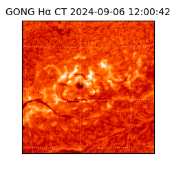 gong - 2024-09-06T12:00:42