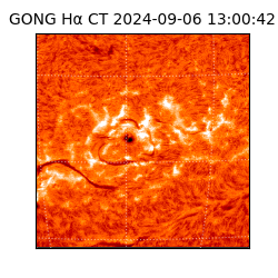 gong - 2024-09-06T13:00:42