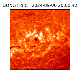 gong - 2024-09-06T20:00:42
