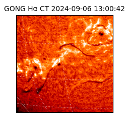 gong - 2024-09-06T13:00:42