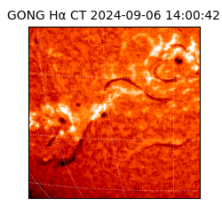 gong - 2024-09-06T14:00:42
