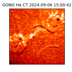 gong - 2024-09-06T15:00:42