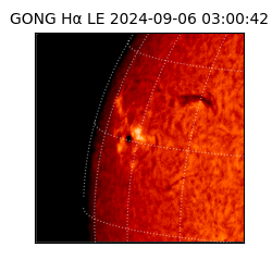 gong - 2024-09-06T03:00:42