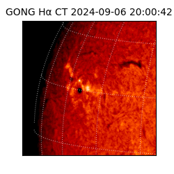 gong - 2024-09-06T20:00:42