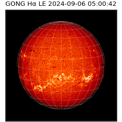 gong - 2024-09-06T05:00:42