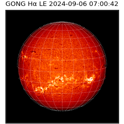 gong - 2024-09-06T07:00:42