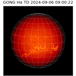 gong - 2024-09-06T09:00:22