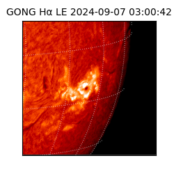 gong - 2024-09-07T03:00:42